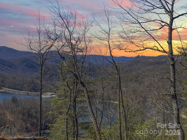 LT15B Von Trapp Ln Unit 15B, Tuckasegee, NC 28783