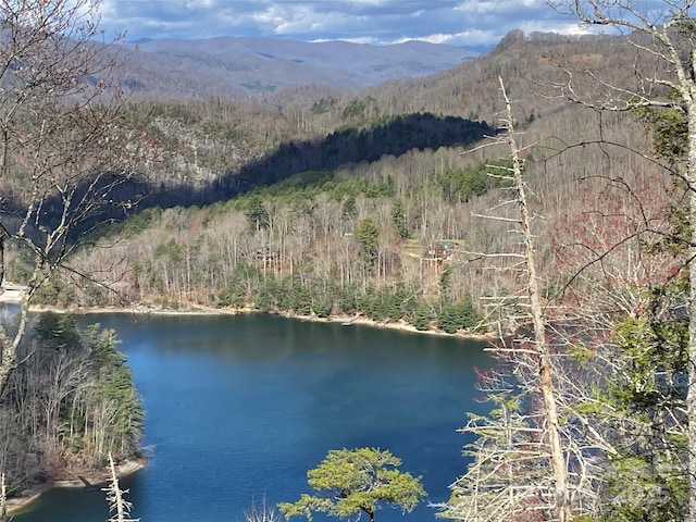 LT15B Von Trapp Ln Unit 15B, Tuckasegee, NC 28783