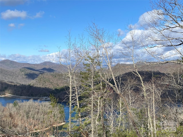 LT15B Von Trapp Ln Unit 15B, Tuckasegee, NC 28783