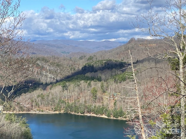 LT15B Von Trapp Ln Unit 15B, Tuckasegee, NC 28783