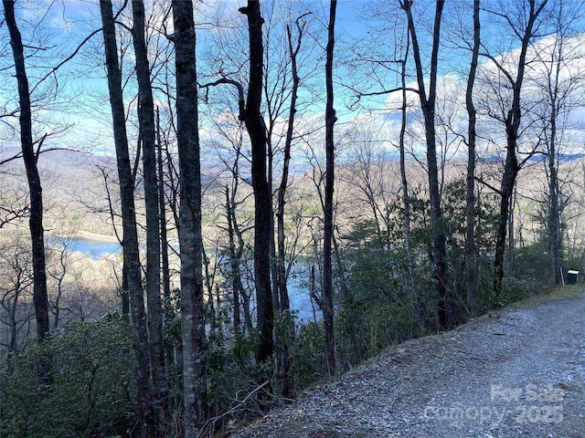 LT15B Von Trapp Ln Unit 15B, Tuckasegee, NC 28783