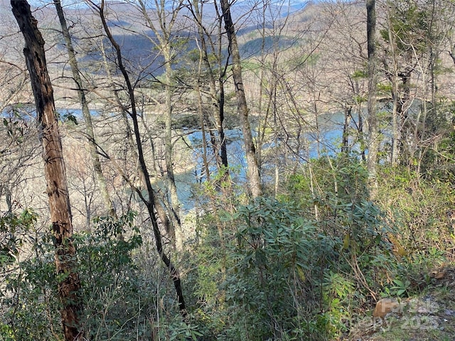 LT15B Von Trapp Ln Unit 15B, Tuckasegee, NC 28783