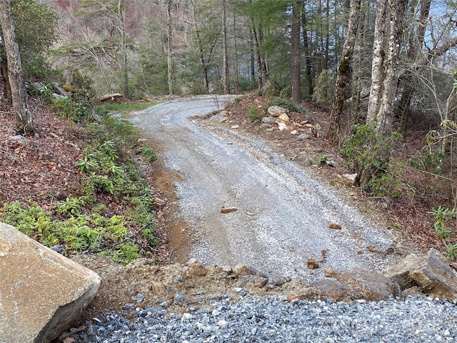 LT15B Von Trapp Ln Unit 15B, Tuckasegee, NC 28783
