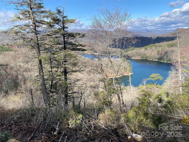 LT15B Von Trapp Ln Unit 15B, Tuckasegee, NC 28783