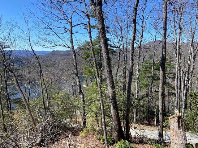 LT15B Von Trapp Ln Unit 15B, Tuckasegee, NC 28783