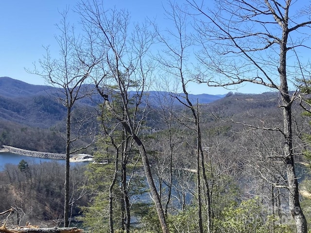 LT15B Von Trapp Ln Unit 15B, Tuckasegee, NC 28783