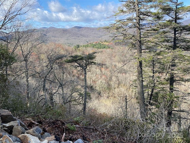 LT15B Von Trapp Ln Unit 15B, Tuckasegee, NC 28783