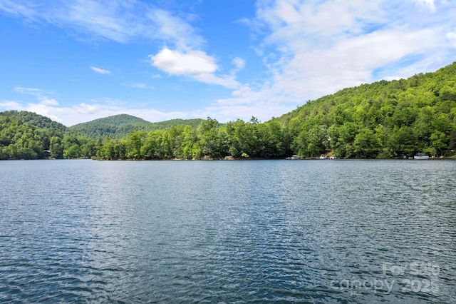 LT15B Von Trapp Ln Unit 15B, Tuckasegee, NC 28783