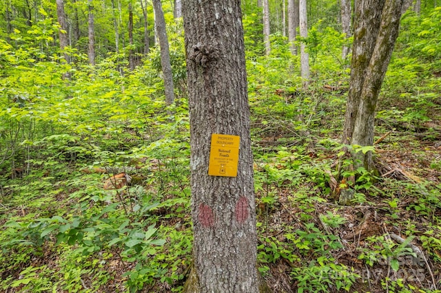 LT15B Von Trapp Ln Unit 15B, Tuckasegee, NC 28783