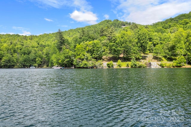 LT15B Von Trapp Ln Unit 15B, Tuckasegee, NC 28783
