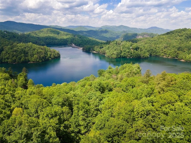 LT15B Von Trapp Ln Unit 15B, Tuckasegee, NC 28783