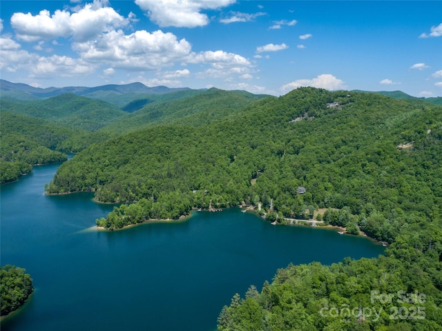 LT15B Von Trapp Ln Unit 15B, Tuckasegee, NC 28783