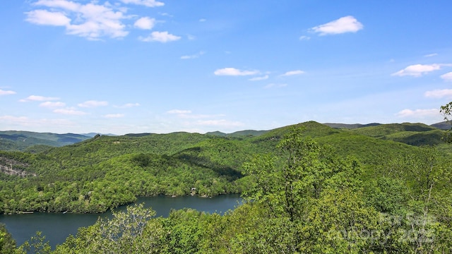 LT15B Von Trapp Ln Unit 15B, Tuckasegee, NC 28783