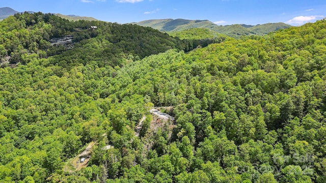 LT15B Von Trapp Ln Unit 15B, Tuckasegee, NC 28783