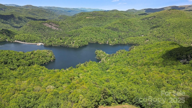 LT15B Von Trapp Ln Unit 15B, Tuckasegee, NC 28783
