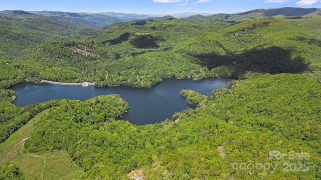 LT15B Von Trapp Ln Unit 15B, Tuckasegee, NC 28783