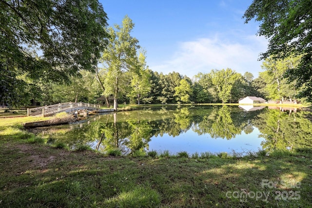322 Oakview Dr, Salisbury, NC 28146 - water view with a forest