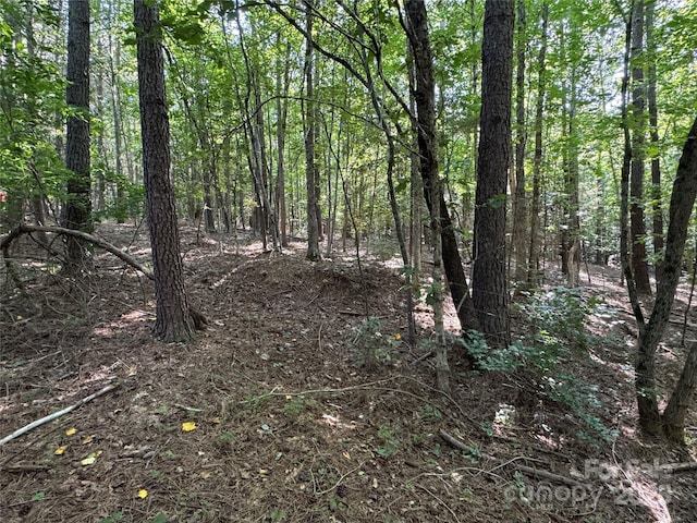 00 Rock Dr, Mount Gilead, NC 27306