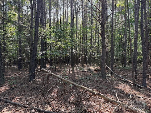 00 Rock Dr, Mount Gilead, NC 27306