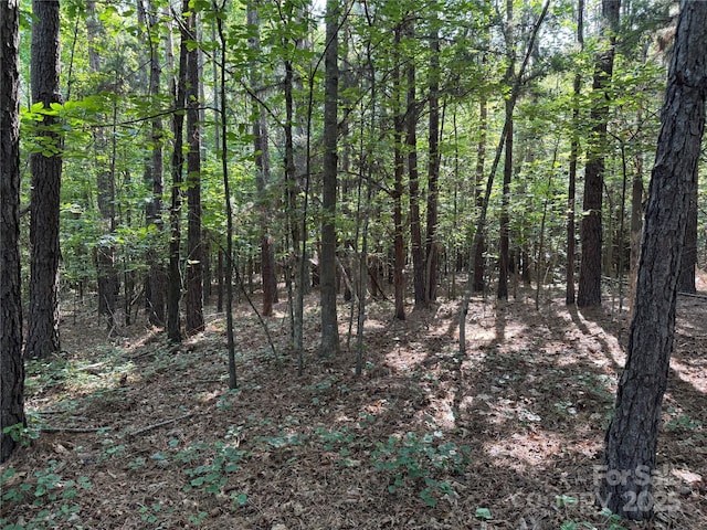 00 Rock Dr, Mount Gilead, NC 27306