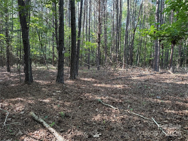00 Rock Dr, Mount Gilead, NC 27306