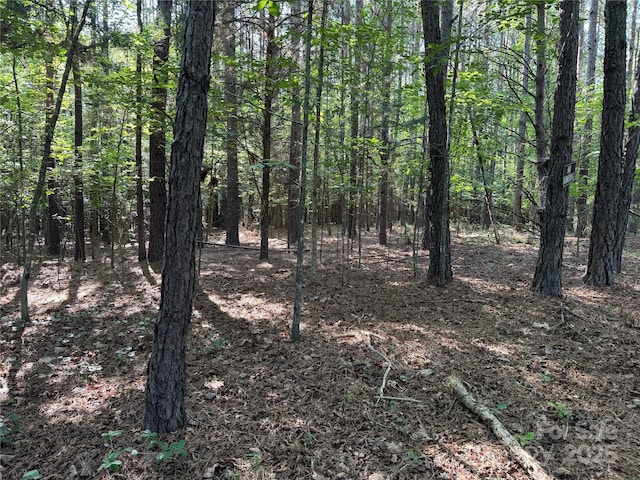 00 Rock Dr, Mount Gilead, NC 27306