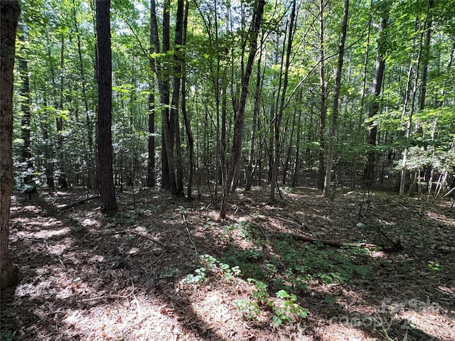 00 Rock Dr, Mount Gilead, NC 27306