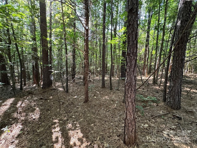 00 Rock Dr, Mount Gilead, NC 27306