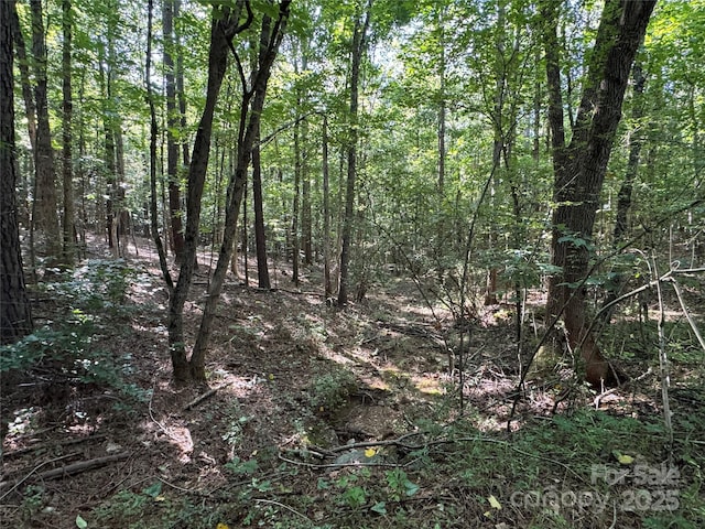 00 Rock Dr, Mount Gilead, NC 27306