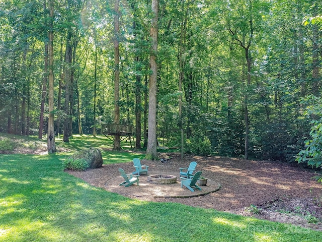 5955 Mountain Point Ln, Charlotte, NC 28216 - photo 42
