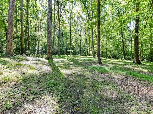 5955 Mountain Point Ln, Charlotte, NC 28216 - photo 44