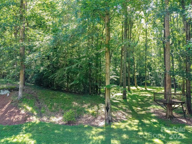 5955 Mountain Point Ln, Charlotte, NC 28216 - photo 45