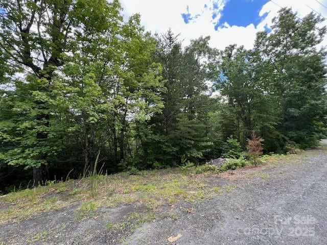 LOT35A N Oakwood Dr Unit 35A, Marion, NC 28752
