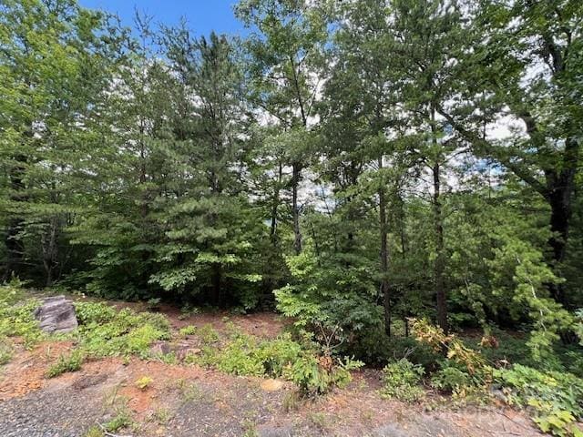 LOT35A N Oakwood Dr Unit 35A, Marion, NC 28752