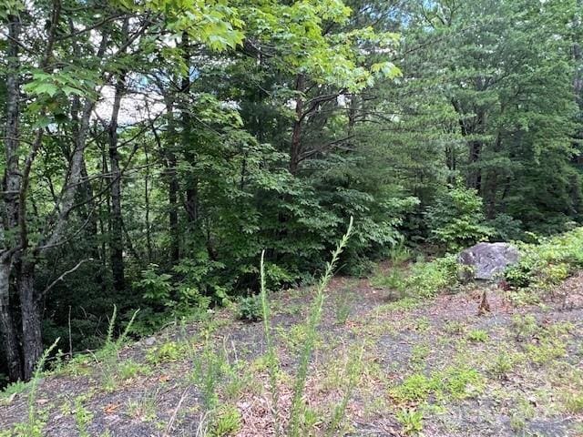 LOT35A N Oakwood Dr Unit 35A, Marion, NC 28752
