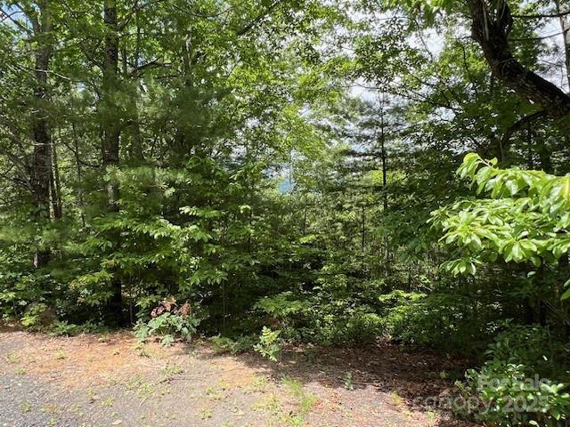LOT35A N Oakwood Dr Unit 35A, Marion, NC 28752