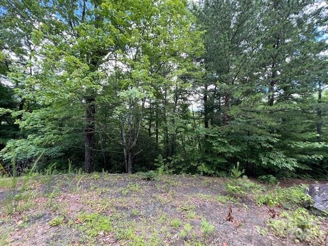 LOT35A N Oakwood Dr Unit 35A, Marion, NC 28752