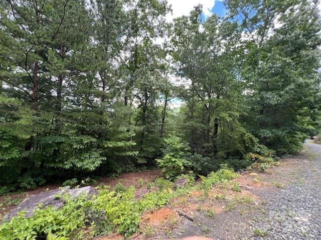 LOT35A N Oakwood Dr Unit 35A, Marion, NC 28752