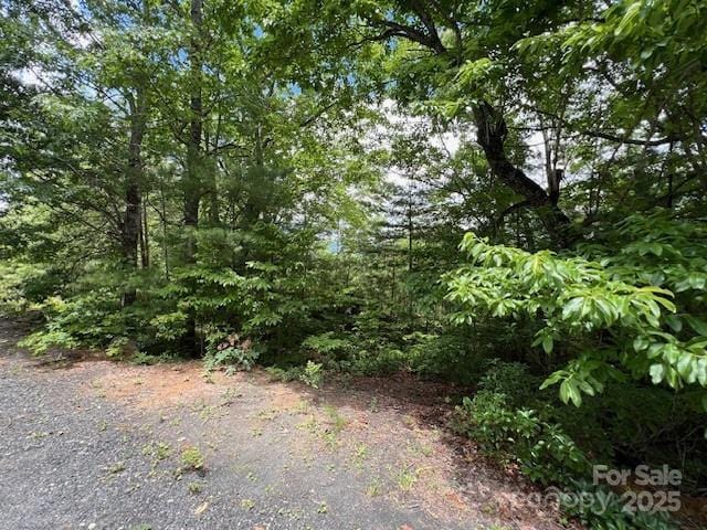 LOT35A N Oakwood Dr Unit 35A, Marion, NC 28752