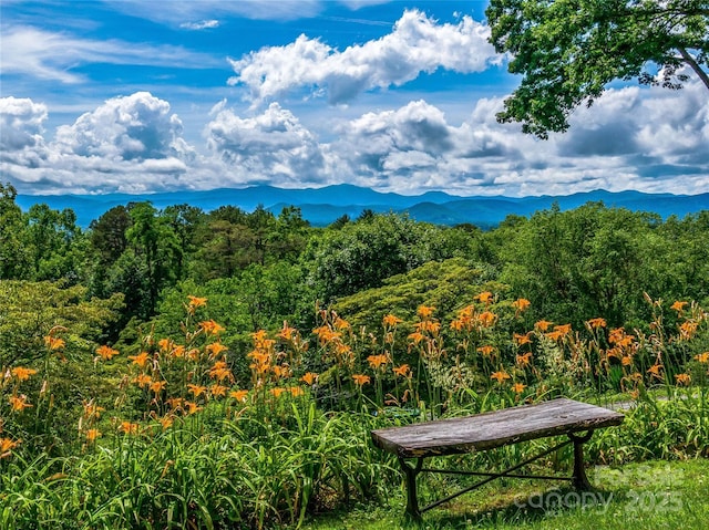 170 Twin Springs Rd, Hendersonville, NC 28792 - view of mountain backdrop featuring a forest