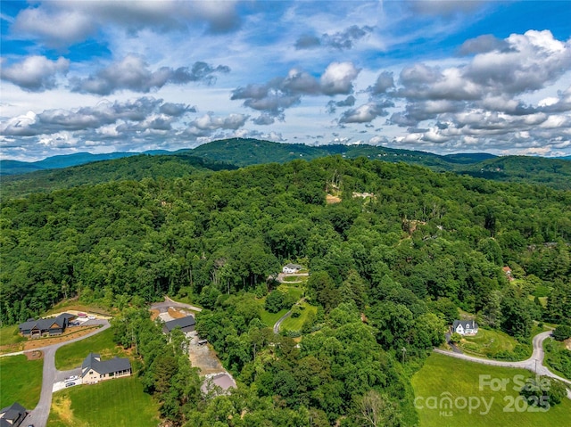 170 Twin Springs Rd, Hendersonville, NC 28792 - bird's eye view of a forest and mountains
