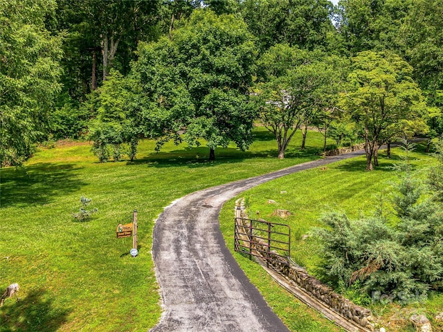 170 Twin Springs Rd, Hendersonville, NC 28792 - view of property's community with a lawn