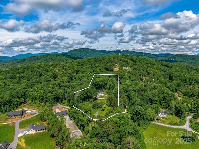 170 Twin Springs Rd, Hendersonville, NC 28792 - view of property location featuring a mountain backdrop and property boundaries highlighted