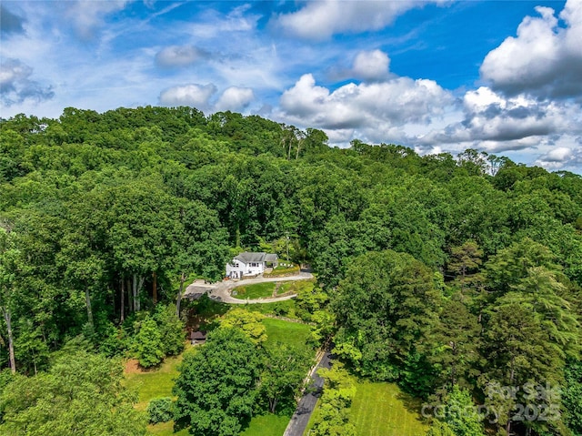 170 Twin Springs Rd, Hendersonville, NC 28792 - view of subject property with a heavily wooded area