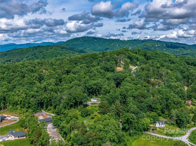 170 Twin Springs Rd, Hendersonville, NC 28792 - bird's eye view of a mountainous background