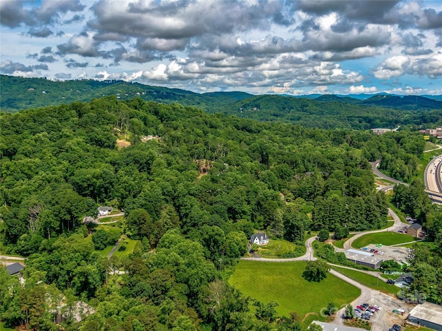 170 Twin Springs Rd, Hendersonville, NC 28792 - drone / aerial view of a forest and mountains