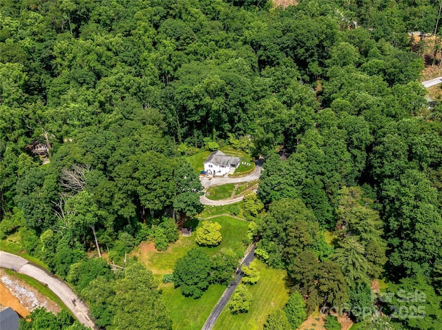 170 Twin Springs Rd, Hendersonville, NC 28792 - bird's eye view