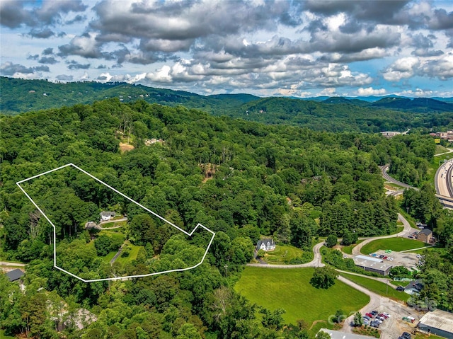 170 Twin Springs Rd, Hendersonville, NC 28792 - aerial overview of property's location with a forest and property boundaries highlighted