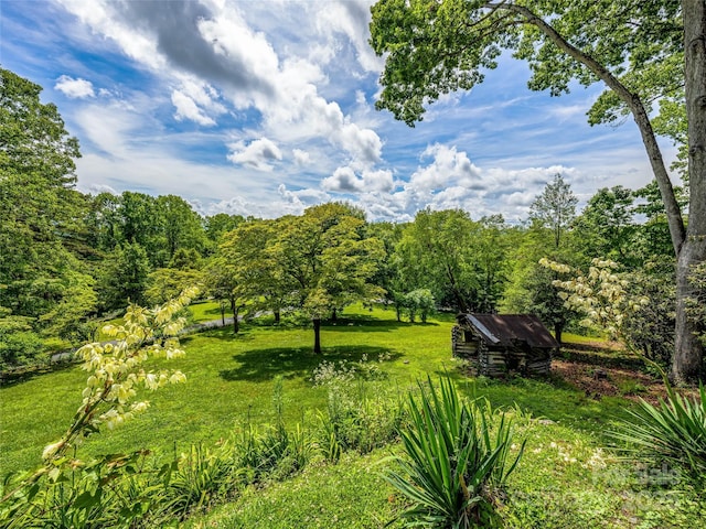 170 Twin Springs Rd, Hendersonville, NC 28792 - view of yard