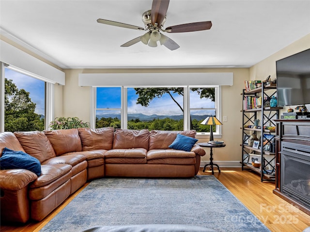 170 Twin Springs Rd, Hendersonville, NC 28792 - living room with plenty of natural light, wood finished floors, and ceiling fan